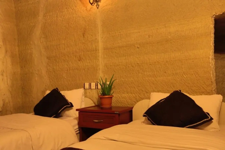 Standard Twin room with balcony and with view