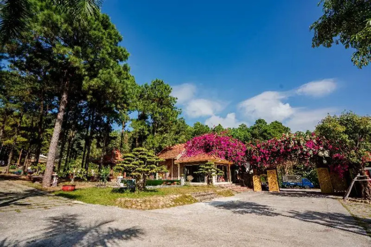 Bai Tu Long Mountain Resort
