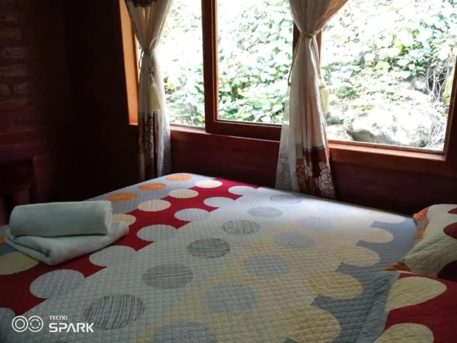 Standard Double room with pool view