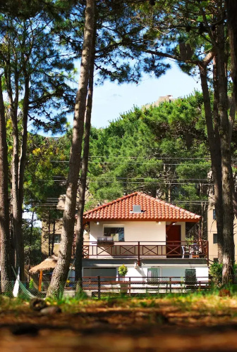 suites del bosque