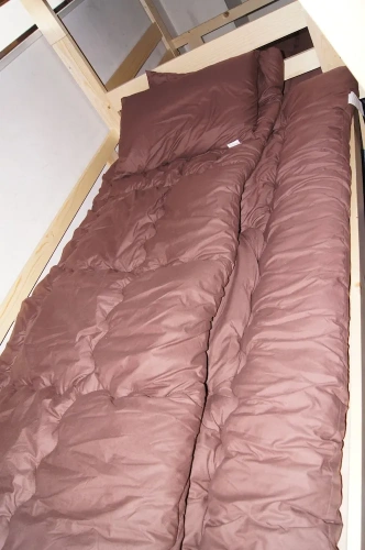 Bed in Dorm