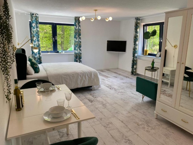 Superior Apartment