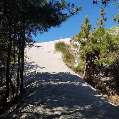 Un p'tit nid au Paradis