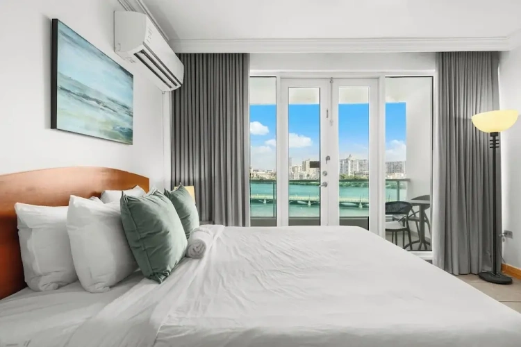 Deluxe Apartment