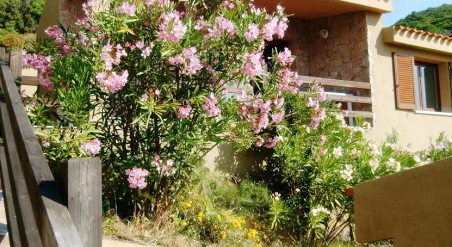 Casa Oleandro