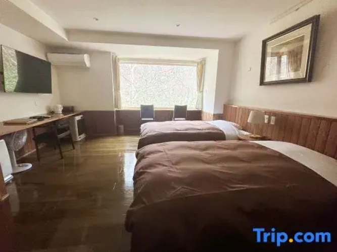 Standard Twin room with river view