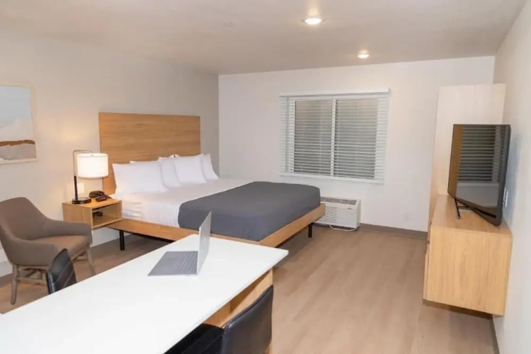 Standard Suite