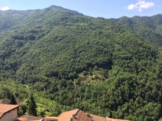 1 Bedroom Double Cottage