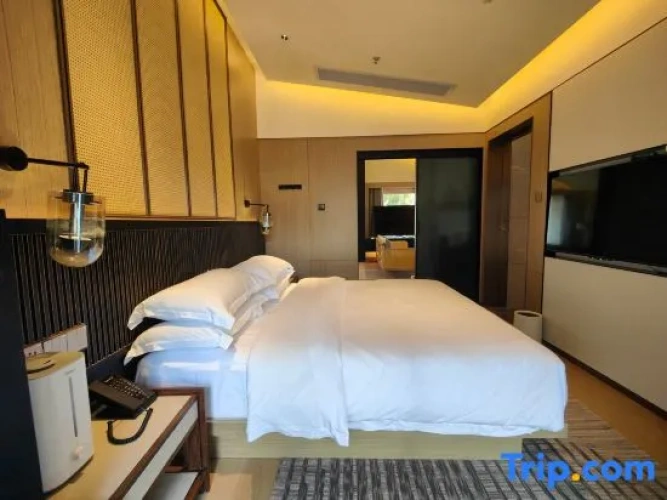 Deluxe Suite with view