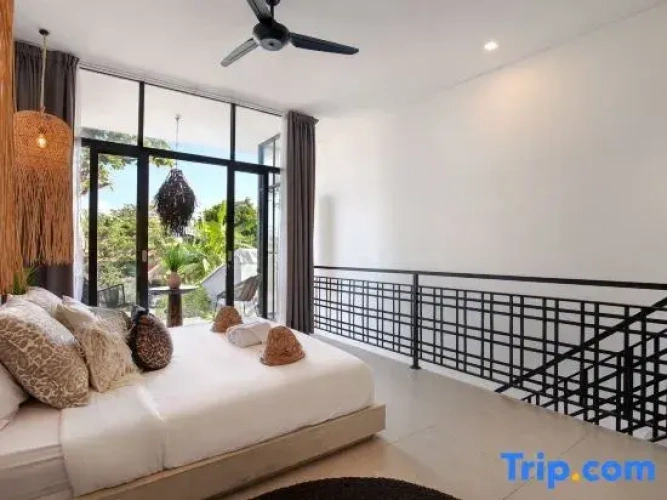Luxury Apartment