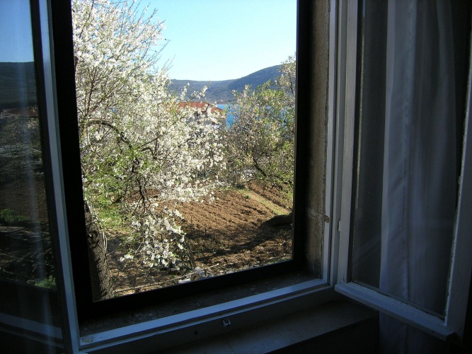 Outside