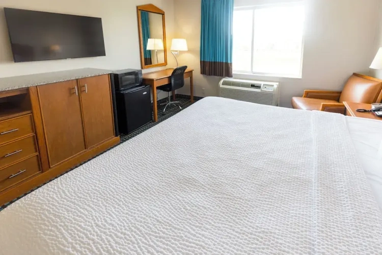 Pet Friendly Double room