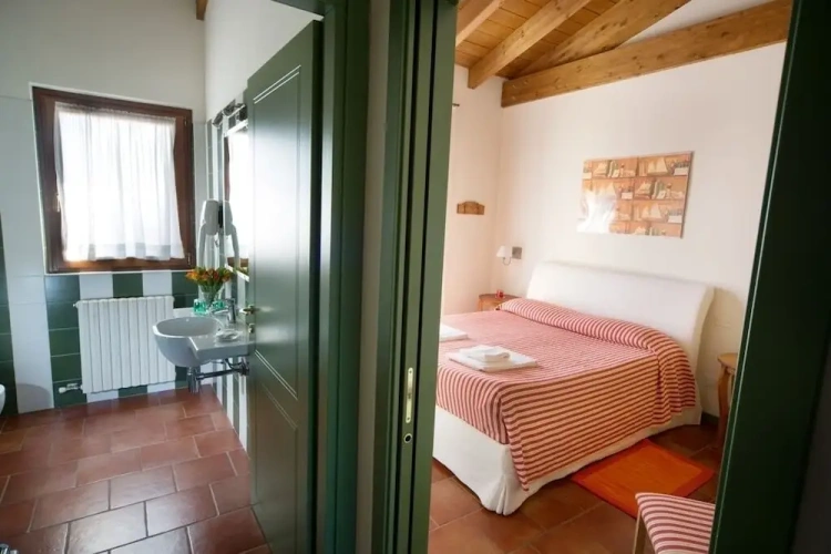 1 Bedroom Superior Apartment