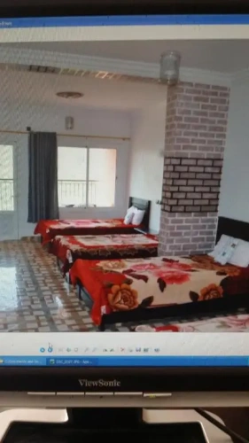 Standard Quadruple room with garden view