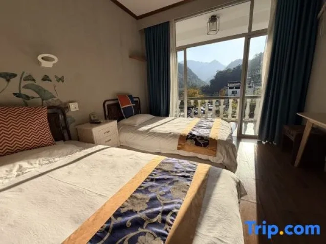 Standard Double room with balcony and with mountain view