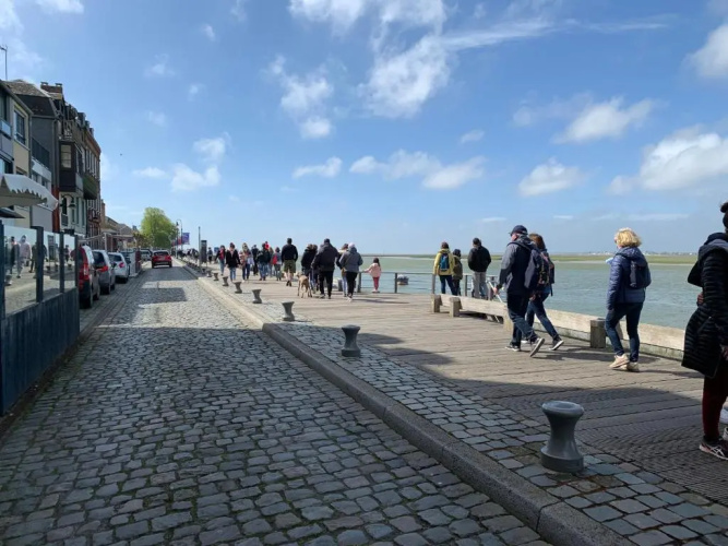 Sur le chemin des phoques
