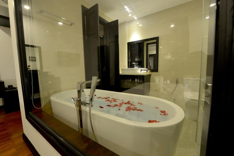 Deluxe Double room with balcony and with pool view