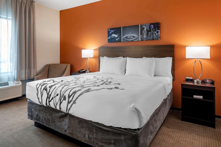 Quadruple Suite