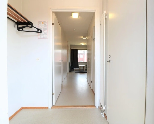 Classic Apartment