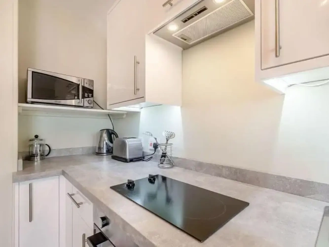 Deluxe Apartment