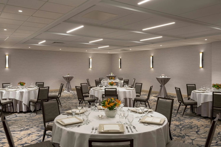 Sheraton Charlotte Airport Hotel photo 25