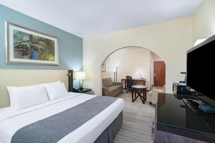 Deluxe Double room
