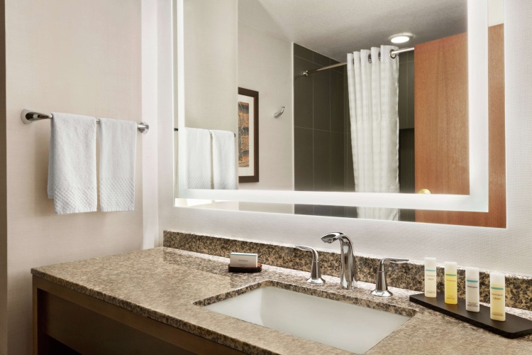 Embassy Suites by Hilton Grapevine DFW Airport North photo 10