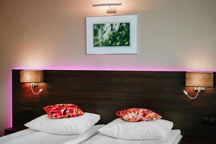 Hotel Lesny
