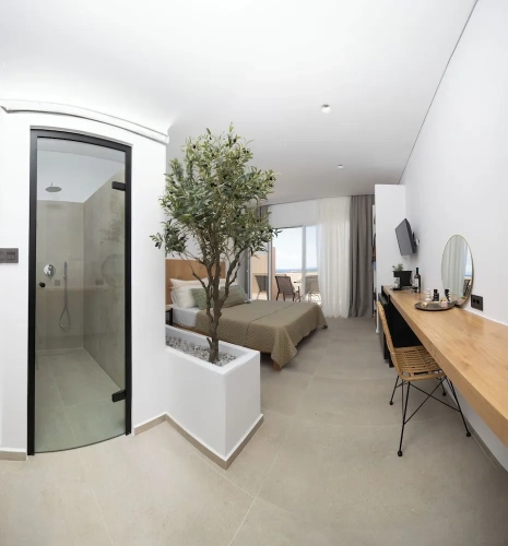 Deluxe Suite with balcony and with sea view