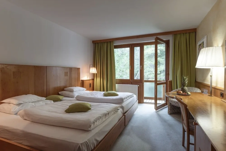 Comfort Double room with mountain view