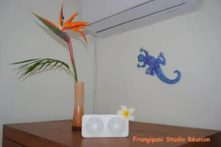 Frangipani Studio Réunion