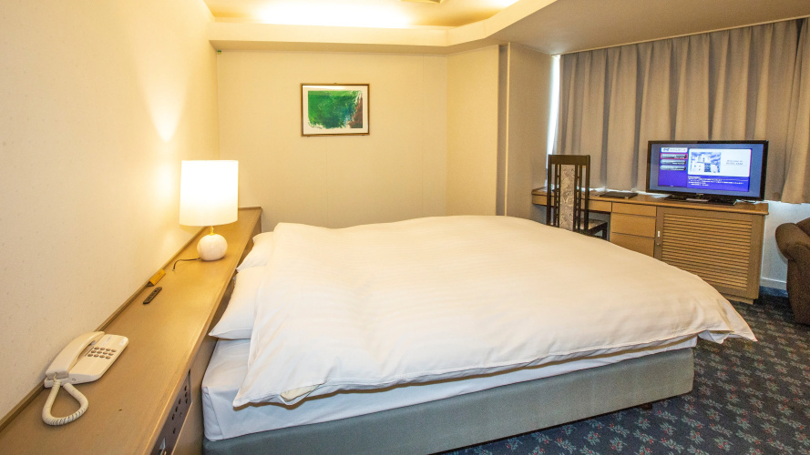 Hotel Zaaz