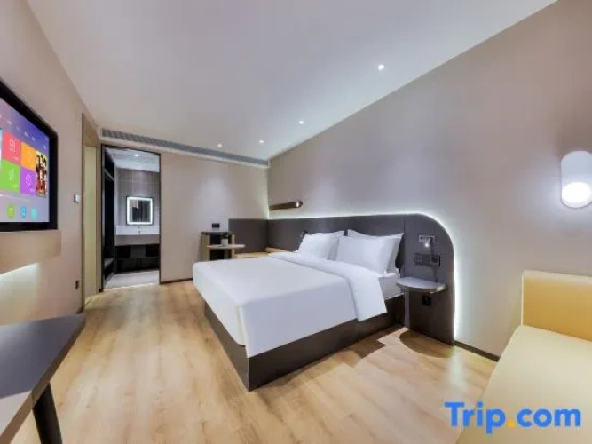 Standard Single Suite