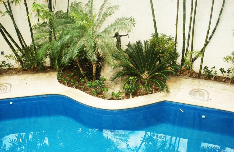 Imagen de D'cesar Hotel Acapulco