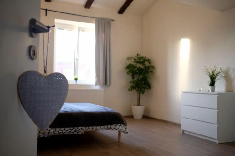 City Center Apartment Legerova