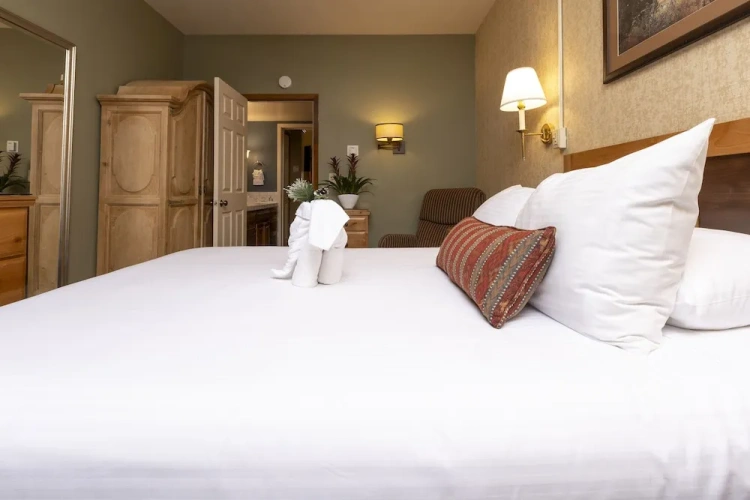 1 Bedroom Deluxe room
