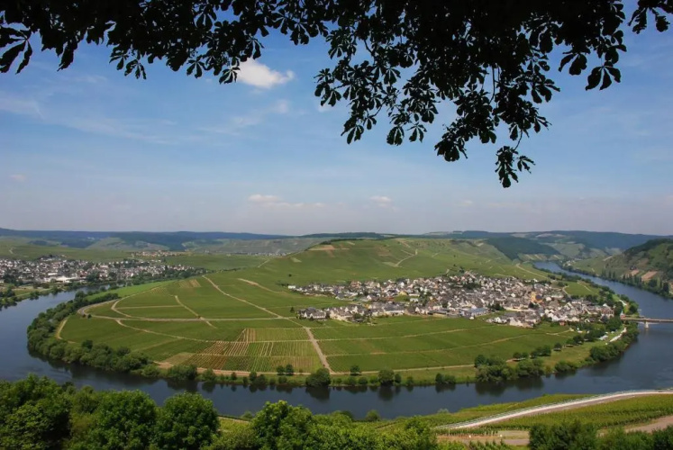 Gästehaus & Weingut Clüsserath-Weiler