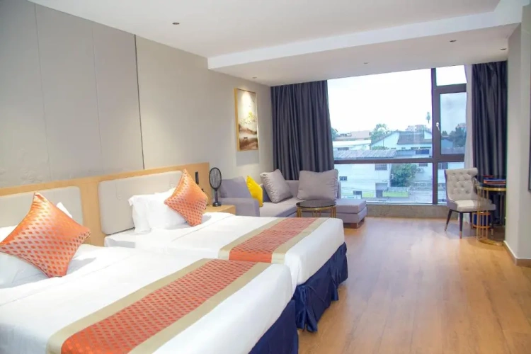 Standard Twin room with city view