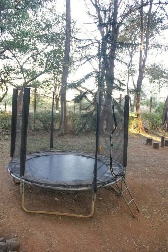 The Jungle Resort Amba