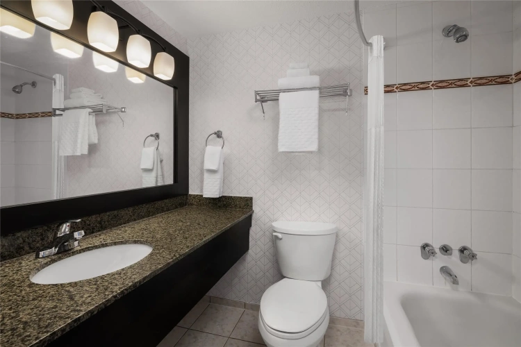Standard Double room with balcony and with ocean view