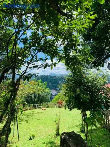 Misty Hills Bungalow
