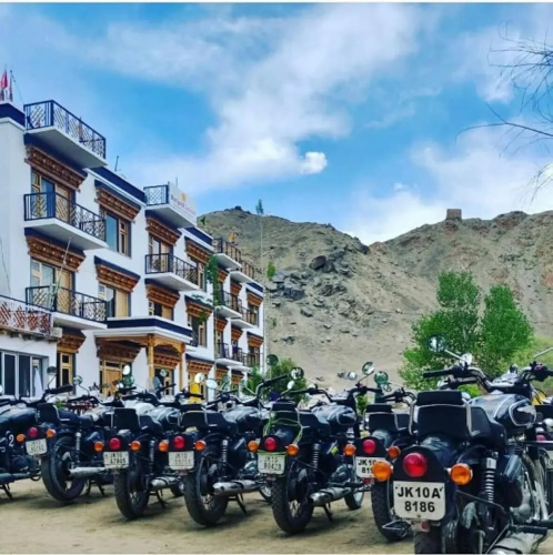 Marigold Ladakh