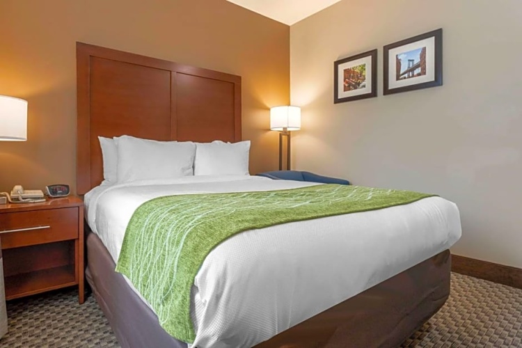 Standard Double room