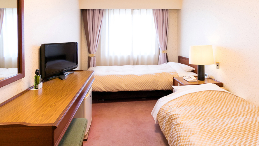 Economy Twin room