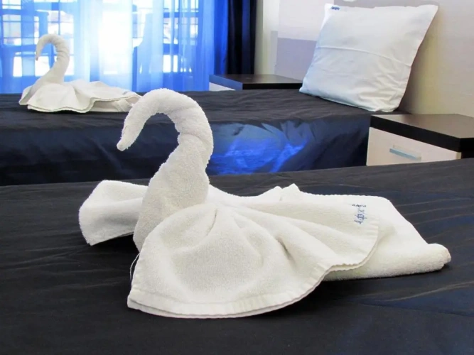 Standard Double room with balcony and with sea view