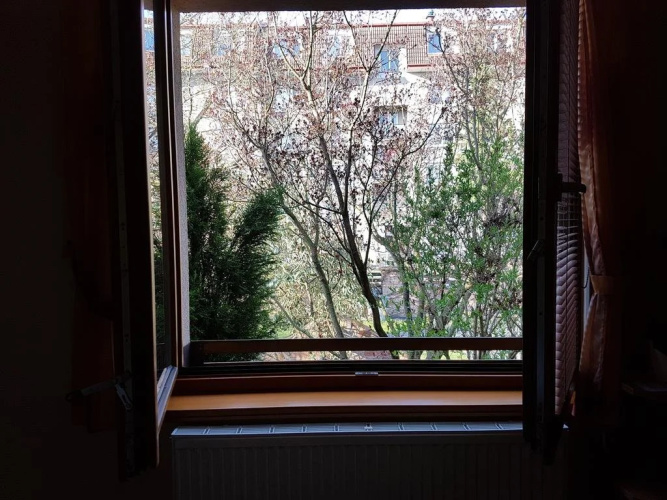 Penzion U Vlků
