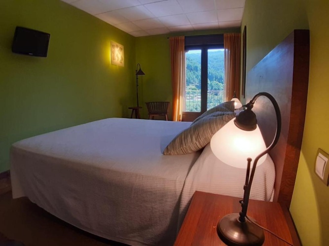 Standard Double room with balcony and with view