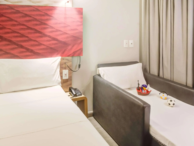 Ibis Paranagua