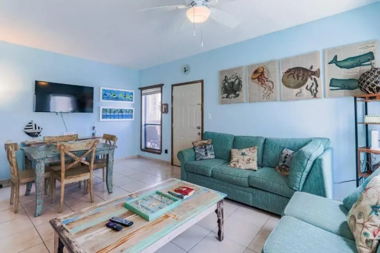 1 Bedroom Apartment