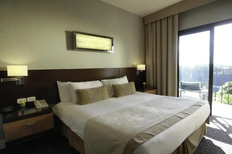 Standard Double room with balcony and with river view